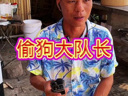偷狗的完美方法,偷狗的完美方法在线观看全集