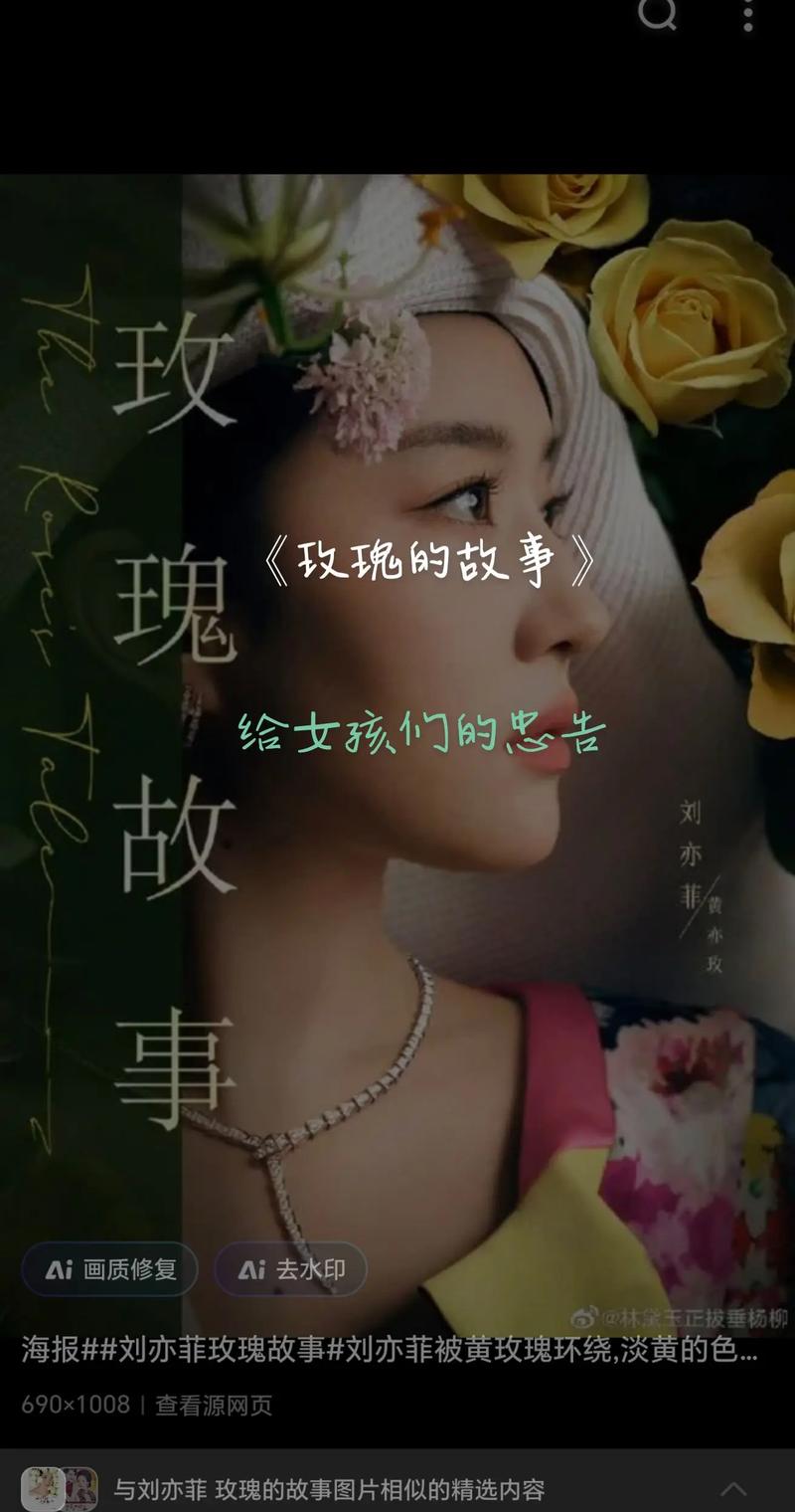 第40集高清免费观看,第40集高清免费观看玫瑰