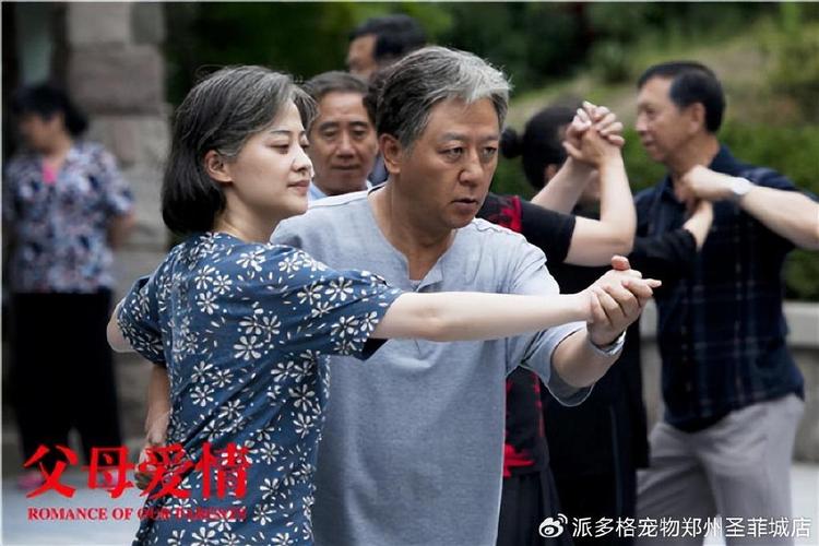 中国电视剧大全免费观看全集完整版高清,中国电视剧大全免费观看全集完整版高清下载
